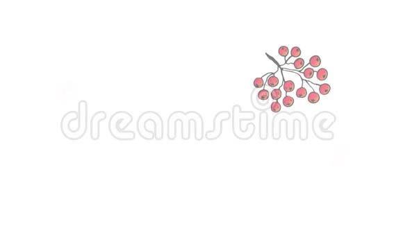 感恩节快乐动画横幅标志与叶罗万和橡木橡子罗万浆果在白色背景视频的预览图