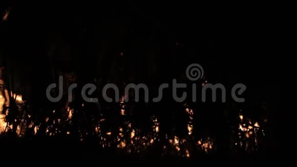 森林燃烧失去控制的夜晚火焰燃烧在农村的草地上视频的预览图