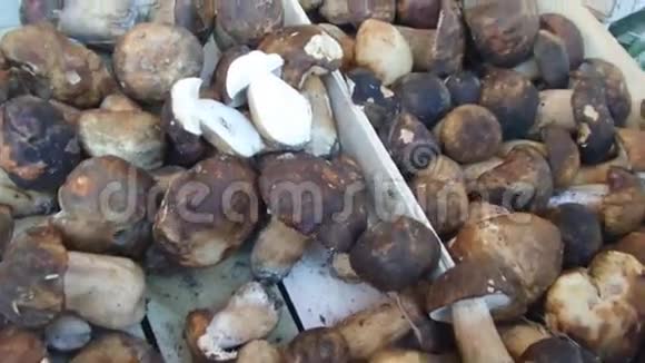 市场上新鲜的鲍奇尼蘑菇视频的预览图