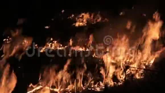 森林燃烧失去控制的夜晚火焰燃烧在农村的草地上视频的预览图