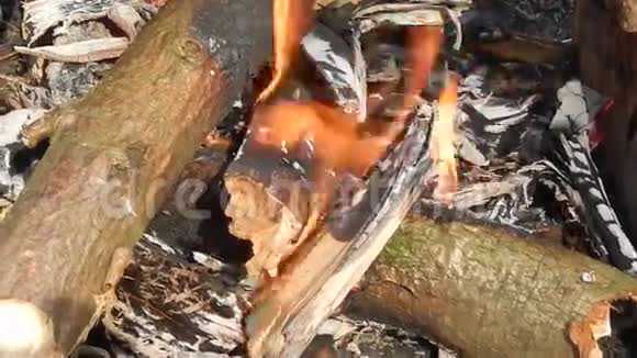 在自然界中用煤燃烧和燃烧视频的预览图