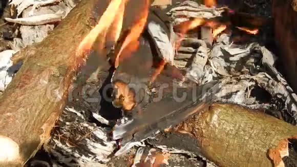 在自然界中用煤燃烧和燃烧视频的预览图