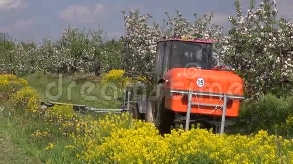 农业拖拉机喷肥开花苹果园视频的预览图