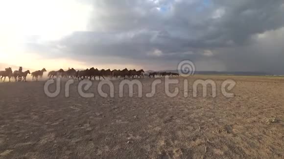 土耳其凯塞里农村野马视频的预览图