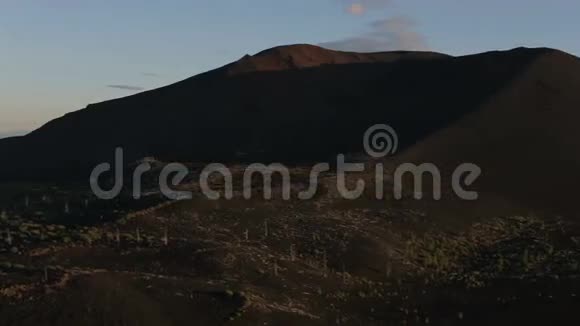 火山附近的死森林视频的预览图