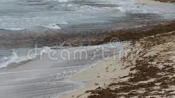 海浪冲刷肮脏的海滨视频的预览图