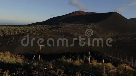火山附近的死森林视频的预览图