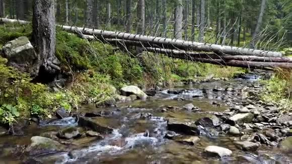 一种山涧的景色它沿着有木头的石头的山坡流下来视频的预览图