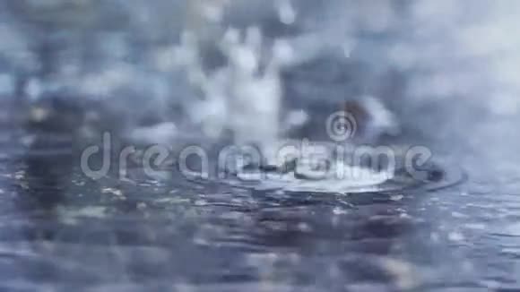 下降的雨水和水泡视频的预览图