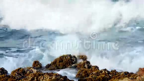 海边海浪拍打着礁石视频的预览图