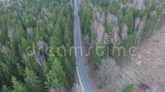 飞过森林上景视频的预览图