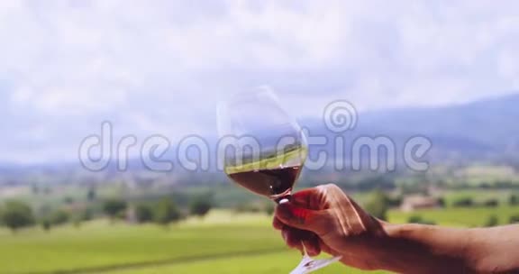 慢动作的中年侍酒师混合和控制红酒的颜色倒入透明玻璃上的风景葡萄园视频的预览图