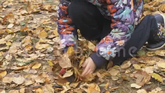 秋天公园里不知名的小孩视频的预览图