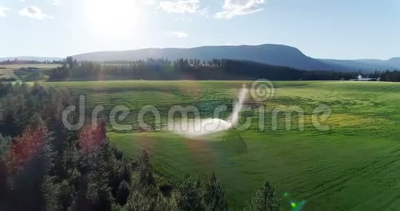 绿化作物灌溉4k视频的预览图
