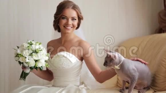 结婚那天和她心爱的猫新娘结婚那天我最喜欢的猫视频的预览图