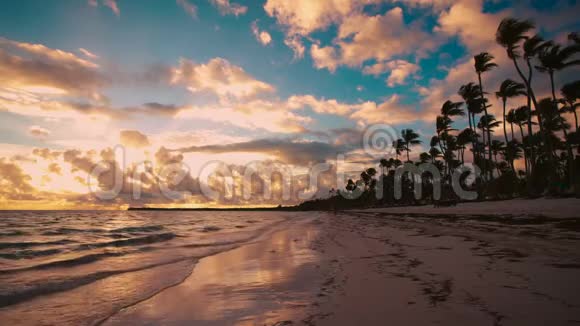 岛式热带海滩有白沙绿松石海水和椰子棕榈树多米尼加共和国蓬塔卡纳视频的预览图