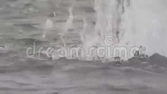 基辅喷泉视频的预览图