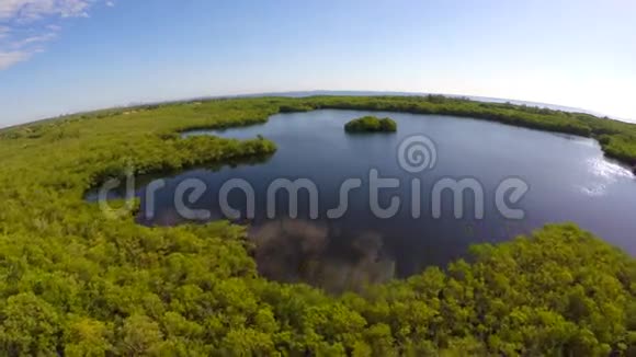 湖泊和红树林的空中视频视频的预览图