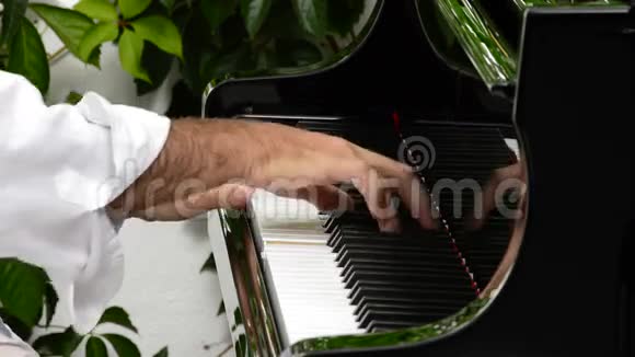 钢琴家在音乐会上弹钢琴视频的预览图