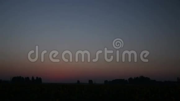 田野上的黎明和向日葵时间推移视频的预览图