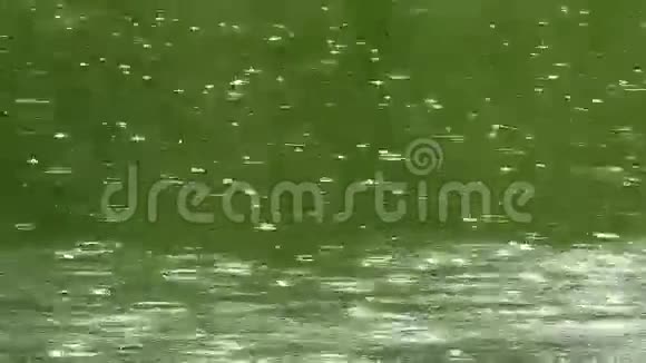 神奇的雨滴在池塘里荡漾高清1920x1080视频的预览图