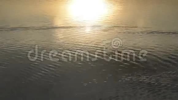 黑鸟的轮廓从右到左在太阳的倒影上游动视频的预览图