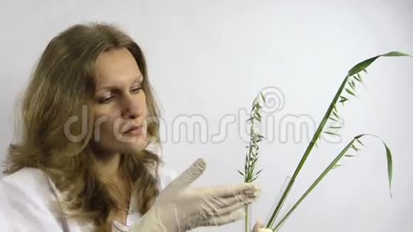 在化学烧瓶里用白色均匀检查燕麦的生物学家视频的预览图