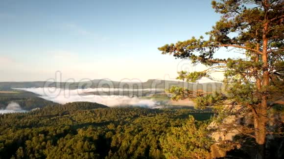 从森林山上看到山谷充满了雾天空的背景颜色与第一个橙色的太阳射线视频的预览图