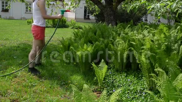 有魅力的妇女用手喷雾器洒水工具浇灌蕨类植物视频的预览图