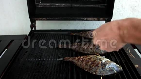 在烤架上煮鱼视频的预览图