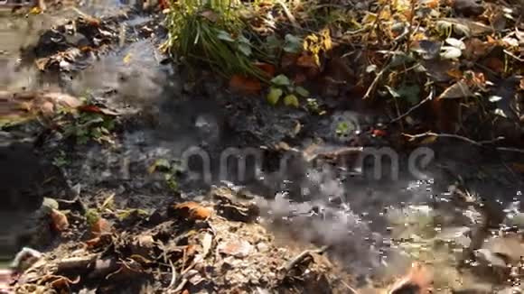 秋天的小溪流水视频的预览图