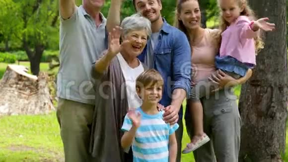 多代家庭在公园里对镜头摆姿势和挥手视频的预览图