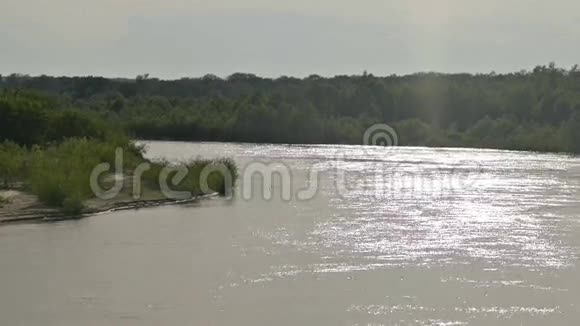 河流流过森林慢镜头视频的预览图
