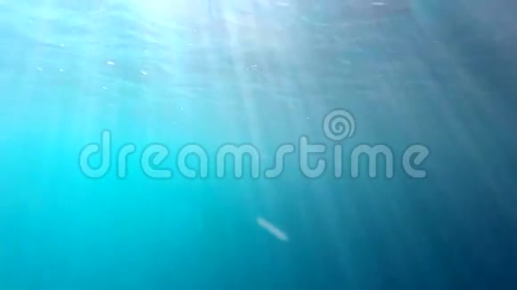 水下蓝色海水太阳光束视频的预览图