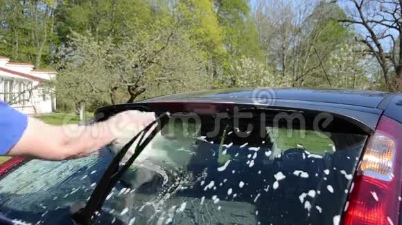 特写男人用肥皂海绵清洗后车玻璃视频的预览图