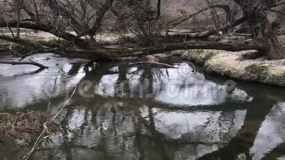 河边的秋树秋天的霜冻寒冷的天气视频的预览图