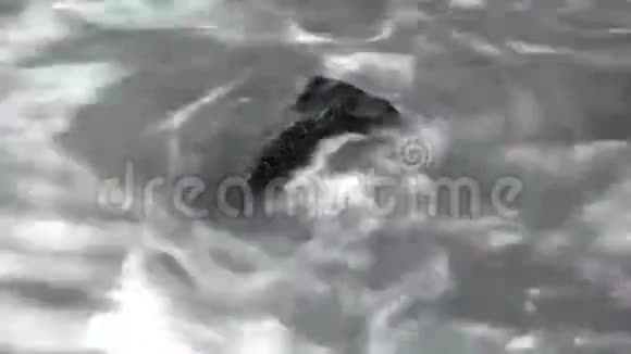 熔岩上的波浪视频的预览图