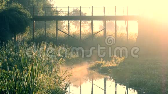 早上的桥和池塘用过滤器视频的预览图