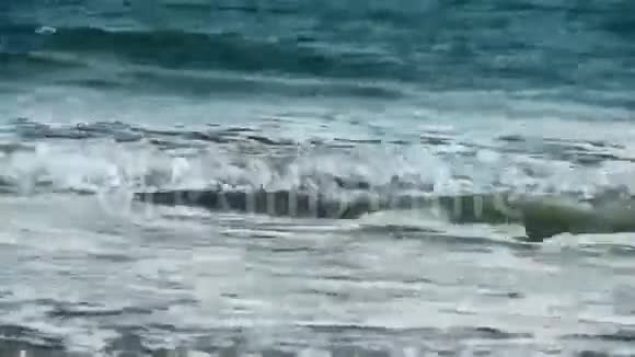 海浪在沙滩上白浪涌视频的预览图