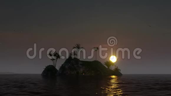 日落时有棕榈树的美丽岛视频的预览图