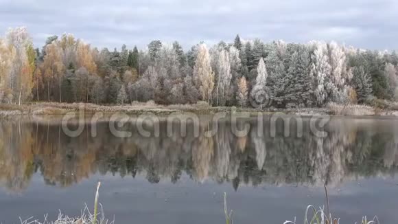 十月霜林湖全景俄罗斯普斯科夫地区视频的预览图