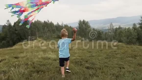 这个男孩在山上奔跑发射一条蛇视频的预览图