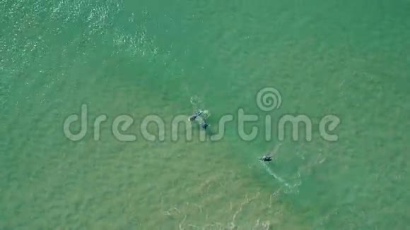 乘坐绿色海浪冲浪者的鸟瞰图视频的预览图