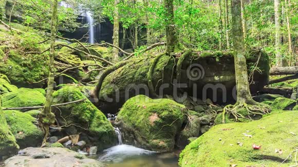时间推移美丽的瀑布在森林泰国视频的预览图