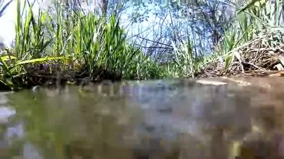 水下景观与阳光视频的预览图