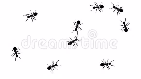 蚂蚁成群结队CG动画轮廓白色无缝环视频的预览图