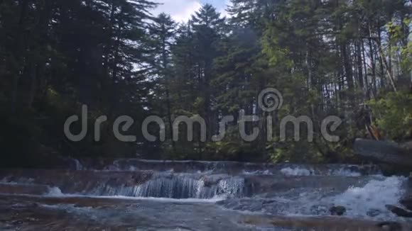 岛上的河流小瀑布视频的预览图