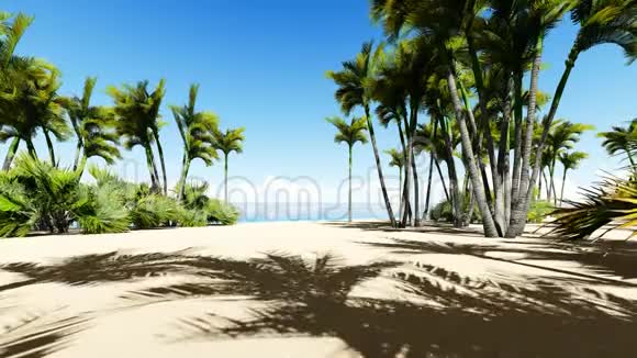 美丽的热带海滩空中鸟瞰海浪景色视频的预览图
