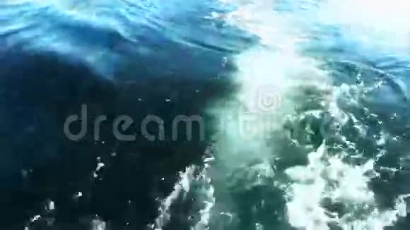 水中涡轮叶轮的湍流视频的预览图