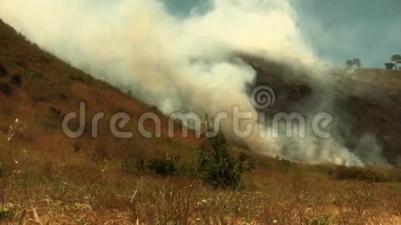山坡大火烧毁了植被视频的预览图